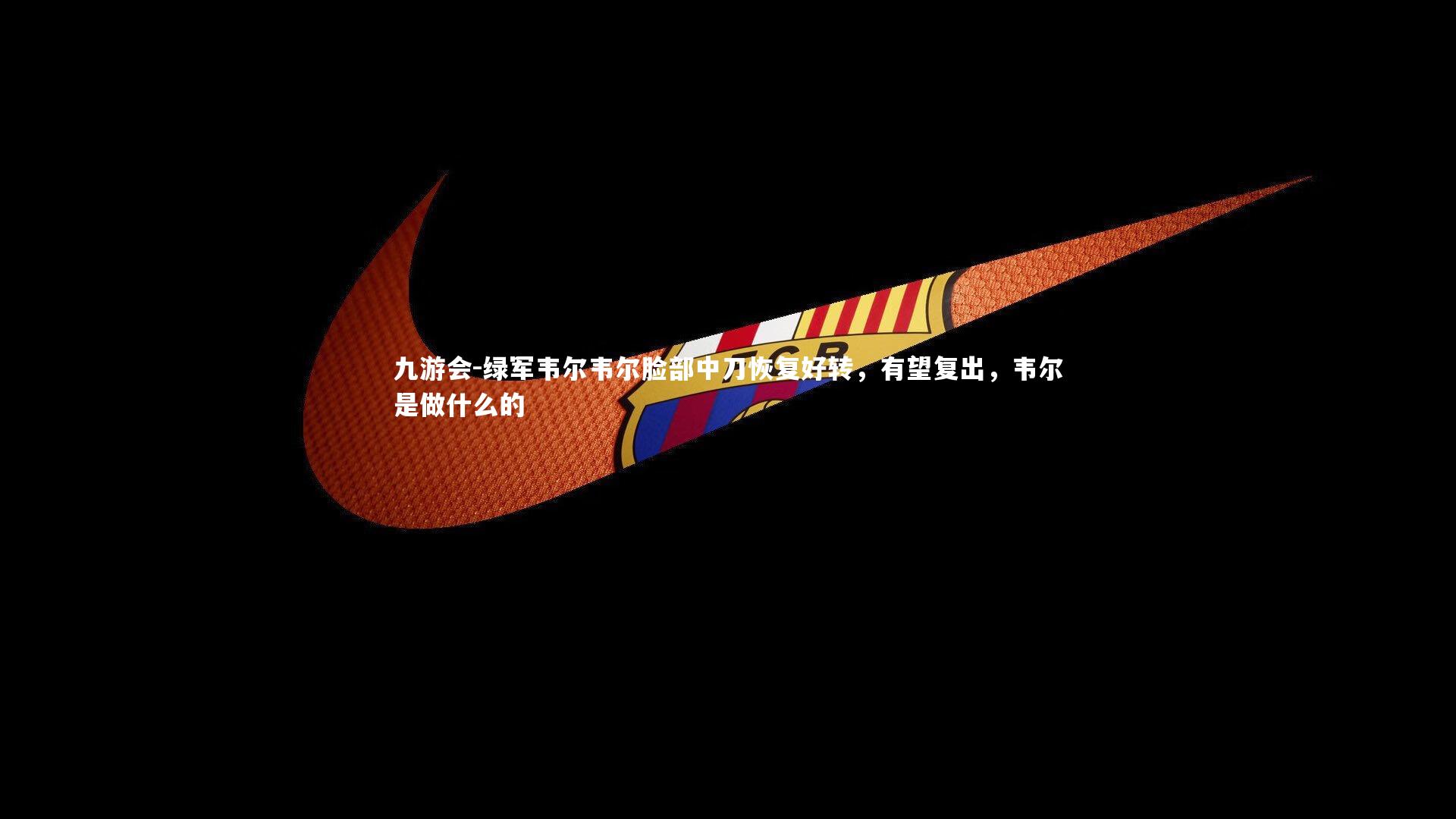 绿军韦尔韦尔脸部中刀恢复好转,有望复出,韦尔是做什么的